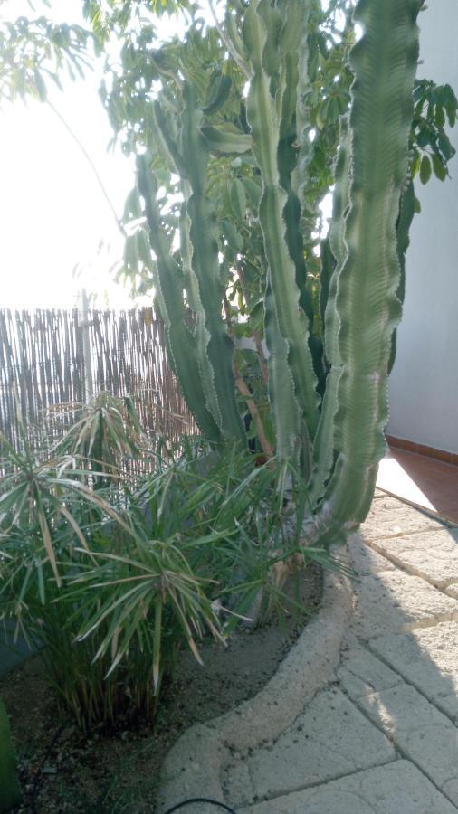 Apartamento Pardela Costa Adeje  Luaran gambar