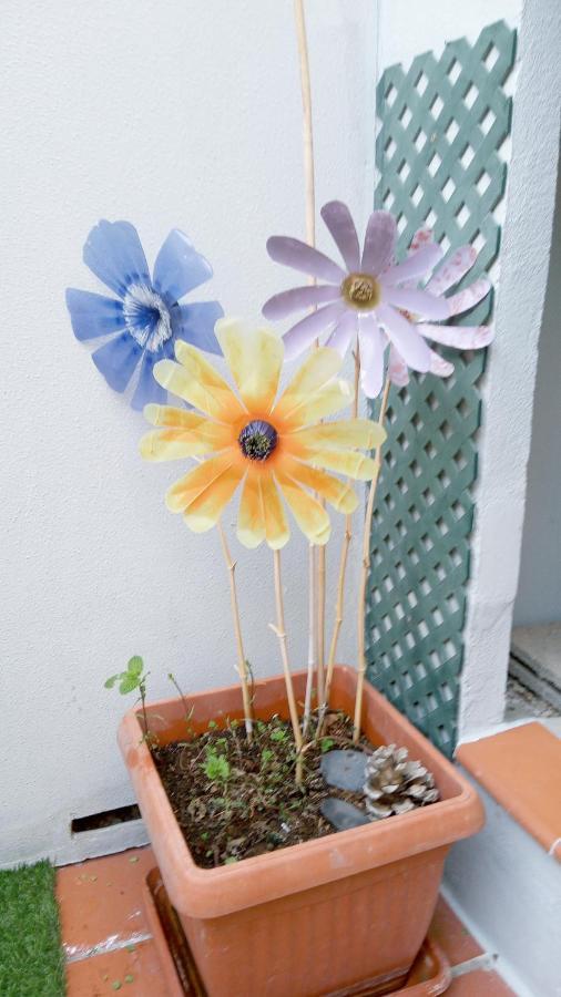 Apartamento Pardela Costa Adeje  Luaran gambar